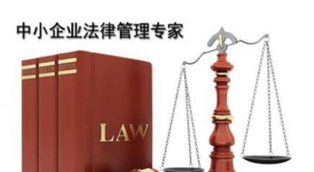 法律咨询 劳务争议 债务纠纷 法律顾问 婚姻家庭